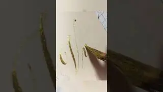 Vv ✨ #de2019 #coliropearlcolors #caligrafia #lettering #asmr #calligraphy #arte #art