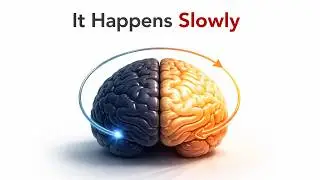 What Neuroscientists Don't Want You to Know About Rewiring Your Brain