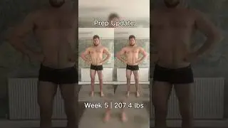 Prep Update: 15 / 17 / 20 Weeks Out - 207.4lbs