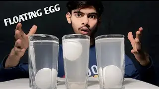 FLOATING EGG EXPERIMENT | why Eggs float in Salt Water |   अंडे और नमक का प्रयोग
