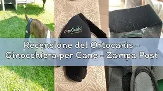 Recensione del Ortocanis - Ginocchiera per Cane - Zampa Posteriore Sinistra - Realizzata in Neoprene
