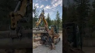 Finally got this massive stump out after 5 years! 🤣🤣 #trees #excavator #farmlife