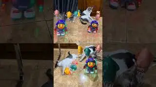 DJ GOYANG MIMI CUCU #djviraltiktok #dj #bzxfvnky #mimicucu #djgoyangmimicucu