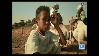 صباح السودان 12-1-2026