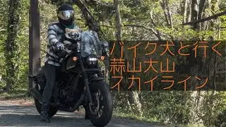 春の犬ツーリング