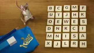 AlphaBetty Saga - TV Ad - King Games