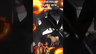 che camion dios diecin..es un horno pero ni pex,