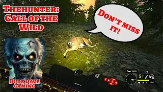 TheHunter: Call of the Wild | Awesome Immersive Hunting Gameplay! 🎮