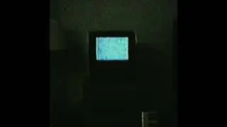 The Lobotomy(super slowed + Reverb + looped) Maebi