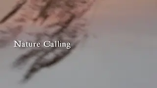 Alex Boamfa - Nature Calling