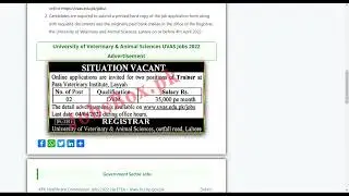 University of Veterinary and Animal Sciences UVAS Jobs 2022 Apply Online