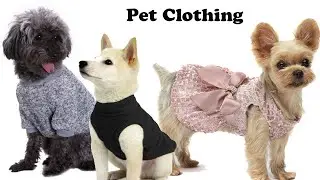 The 9 Best Pet Clothes For Your Pets 2020
