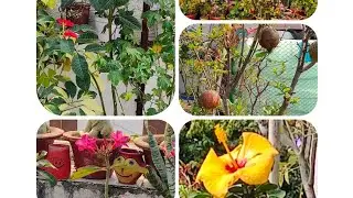 Sunday update #Winter ka overview #🌹