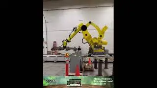 MWES - The Robot Waltz