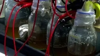 Crave - Charge your gadgets with pee, Ep. 129