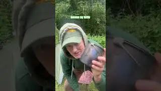 Living in my tent-whilst working #camping #outdoors #wildcamping