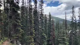 Tower Lake hike @Hiking-Alberta
