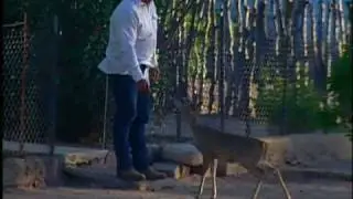 sonora videoreportaje - electrificacion en san marcial