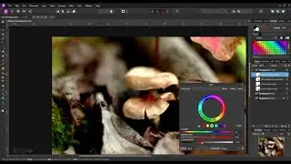 Making an image in warm colors | Affinity photo | Fast