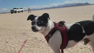 This Dry Lake Bed Reminded Me What Freedom Feels Like