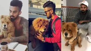 KL Rahul with his pet dog Simba | kl rahul and simba