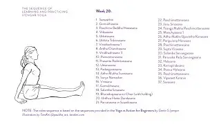 Week 20: Learning and Practicing Iyengar Yoga for Beginners
