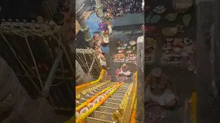 പടിപൂജ 🥰#sabarimala #shortsfeed #ayyappa #sharam #padipooja ##sabarimalasannidhanam #viral#tamil