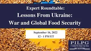 Expert Roundtable: Lessons from Ukraine- War and Global Food Security (Ukrainian)