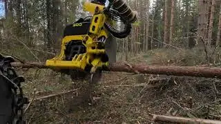 Moipu 300F1 in pulpwood harvesting | kuitupuun korjuussa