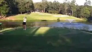 par 3 birdie