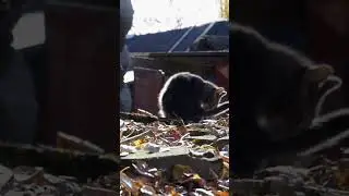 Настоящая деревянная Россия. Марий Эл с Иваном Хафизовым.