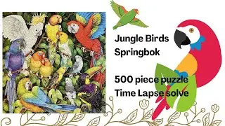 Jungle Birds, Springbok - Time lapse, 500 Pieces
