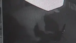 Bay area burglar terrorizing a local daycare
