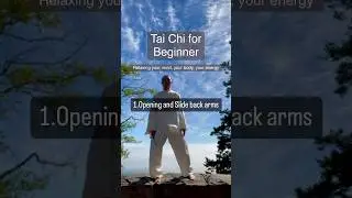 Tai Chi for beginner Opening and slide back arms 起势+倒卷肱 #taichi #kungfu #taiji #太极拳 #qigong