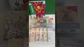 Новые покупочки)#товарыдлятворчества #хобби #hobby #stickerbook #disneycoloring