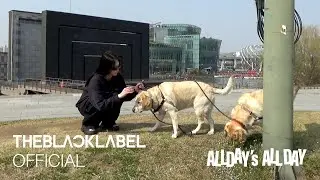 ALLDAY’s ALL DAY '애니와 리트리버들' | ALLDAY PROJECT