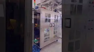 Loose Leaf Tea Pyramid Tea Bag Packing Machine with overwrapping