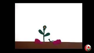 Pollination and Fructification in Flowering Plants