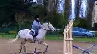 Galopiin et moii