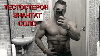 Тестостерон энантат соло курс стероидов 