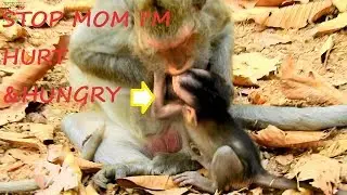 DON'T BITE ME MUMMY| PITY BABY JAYDEN SO HURT GET WRONG MOM JADE BITE WEANING MILK |