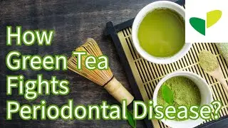 (Subtitle) How Green Tea keep  Periodontal and Oral Health. Learning Bad Bacteria in your Mouth.