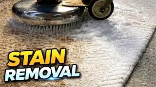 Stain Removal Carpet Cleaning ASMR | Satisfying Deep Wash @ADKDEEPCLEAN 