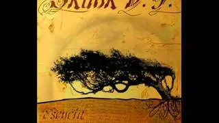 Skunk D.F. - Supernova