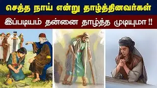 285 - செத்த நாய் என்று தன்னை தாழ்த்தினார்கள் - Peter Madhavan Tamil Christian Bible Message