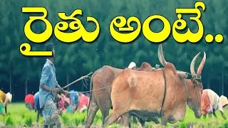 Agriculture vs Software Engineering | Farmer problems In India | Telangana Farmers | Mass voice |