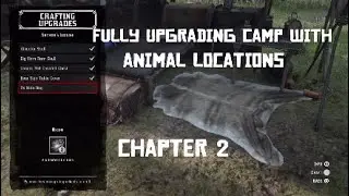 Fully upgrading camp with animal locations guide | Chapter 2
