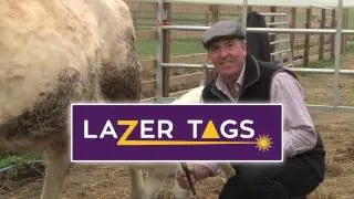 Lazer Tags Promo Video
