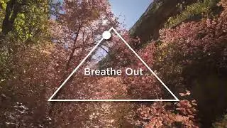 Performance Breathing 4,1,8,0 Breathing Technique for Enhanced Mental and Physical Performance
