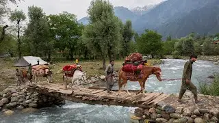Nomadic family migration - nomads migration IRAN - You will not believe how beautiful it is